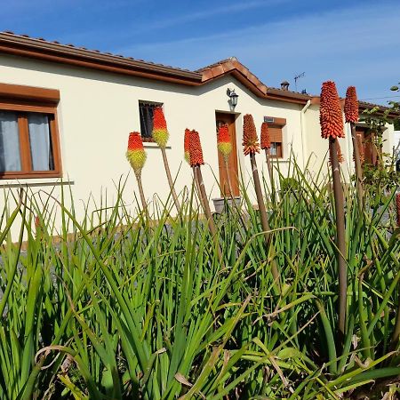 La Belle Maisonnette Montmorillon Eksteriør billede